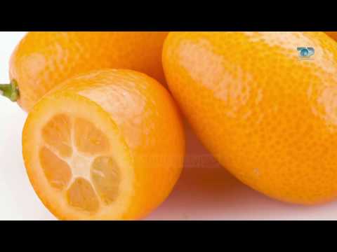 Ne Shtepine Tone, 26 Dhjetor 2017, Pjesa 2 - Veçoritë e kumkuatit