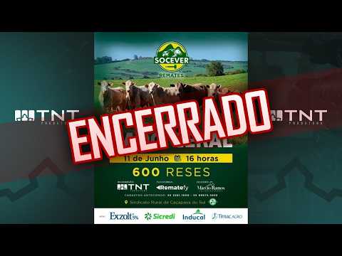 11/06 - Gado Geral Socever Remates | 16h