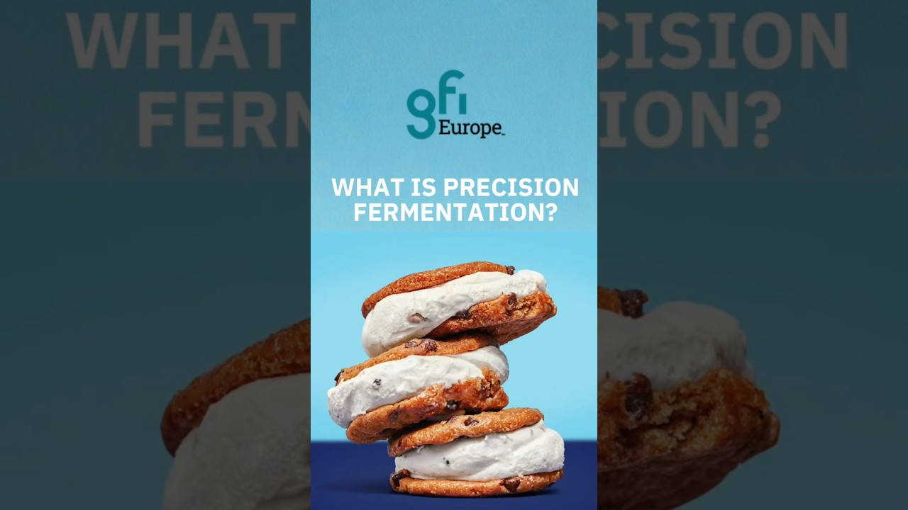 What is precision fermentation?