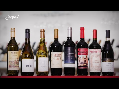 Neuvorstellungen vom 19. Oktober 2020