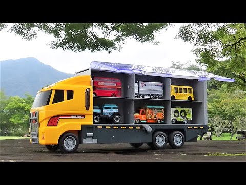 12 trucks and buses & Big orange trucks.Hide and seek.