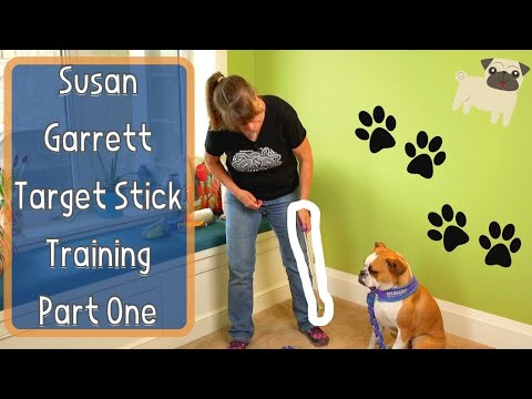 Susan Garrett's Target Stick Training for Dogs Part One - All About Targeting