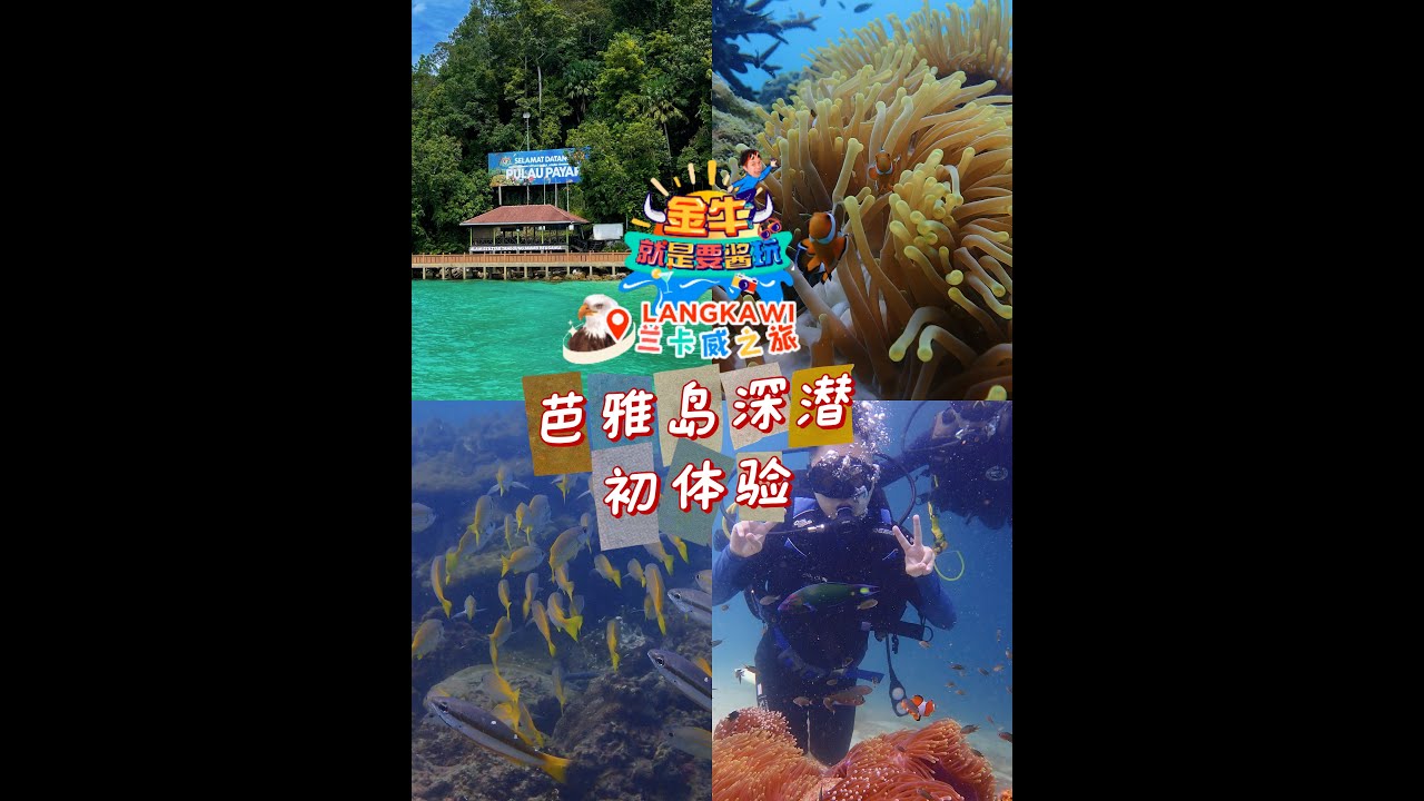 🇲🇾怎么这么多人问我兰卡威有没有浮潜？