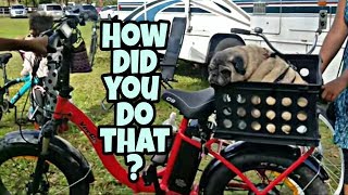 Bluegrass Banjo & Boondocking Event | DIY Dog Basket for E-Bike