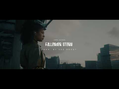 "Fallender Stern" with German Hook (NF, Takt32 & Sido Type Beat)