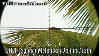 Download lagu BERBURU TUPAI DI SPOT PINGGIR JALAN‼️BIKIN LUPA PULANG mp3
