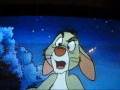 Where Oh Where Has My Piglet Gone Part 2