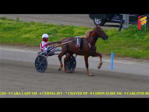 VII del 6 Marzo 2022 - 4 Anni - Metri 1600