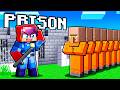 I Opened A VILLAGER PRISON In Minecraft