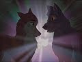 Animash I Have Dreamed