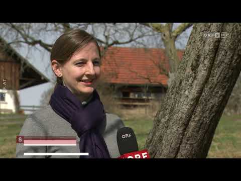 FernG'schaut 13.03.2021 - Salzburg heute