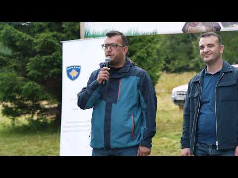 Të qethurat 2023 ditë e paharruar në bjeshkën e Moknës