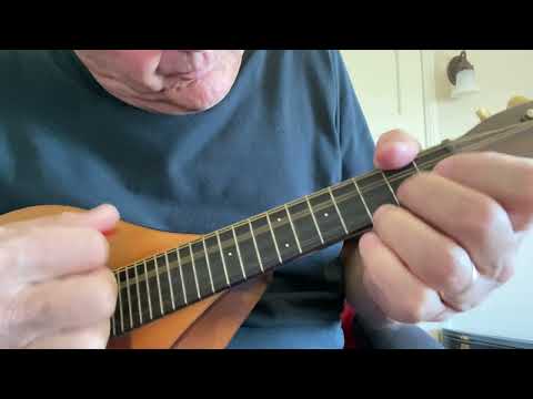 Martin A Style Mandolin 1921 Natural image 16