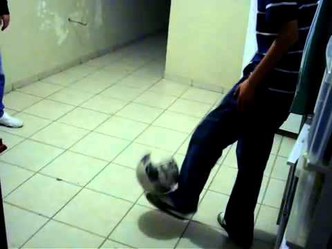 Duendes en nochis Mexico. ELF spotted in Mexico