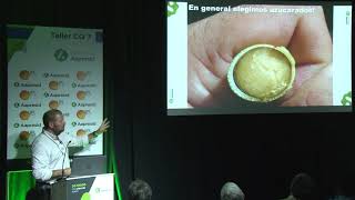 SORGO: Aspectos técnicos de Relevancia al utilizarlo como Forraje, Silaje o Grano