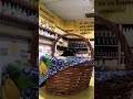 Italy Rome A Lemon Wine Shop 随走随拍 走哪儿拍哪儿