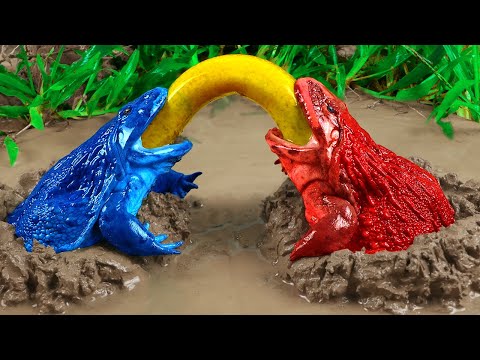 Colorful Koi Fish Hunt Frogs - Primitive Fish Video Dinosaur Hunts Eels And Fish STOP MOTION ASMR