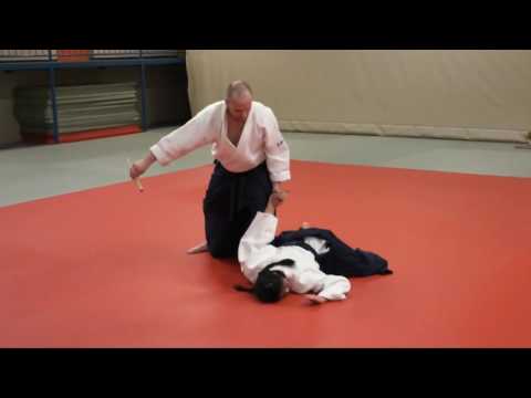 айкидо. Aikido Stephane GOFFIN 6th dan , VIENNA 2012