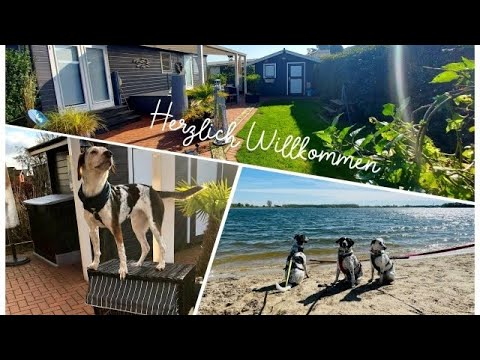 Garten Rundgang: Chalet Lighthouse, 50m zum Strand, Erholung pur für Mensch & Hund am Rhederlaag