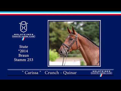 1. Präsentation der Holsteiner Elite Auktionspferde | 132 Carissa