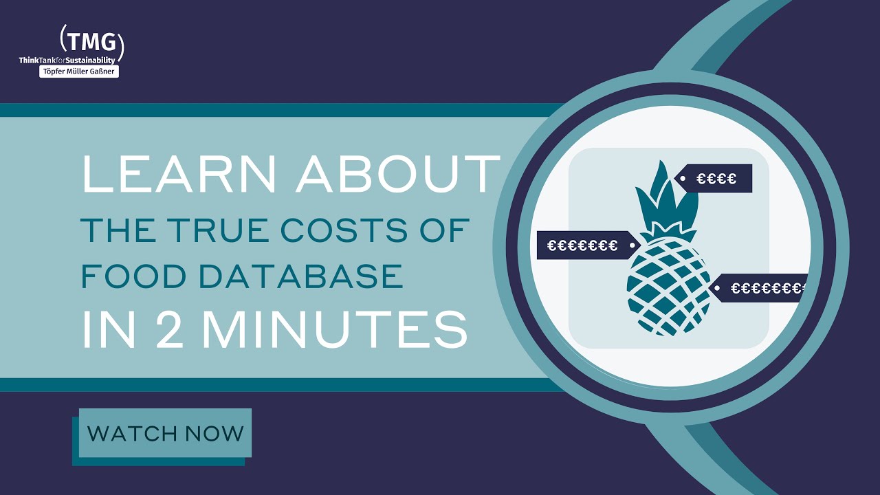 TMG's True Costs of Food Database