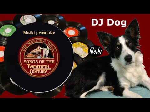 The DJ Dog - Border Collie presents Songs of the 20th Century
