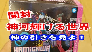 【MTG】『神河:輝ける世界』コレクターブースター開封【Magic : The Gathering】前編