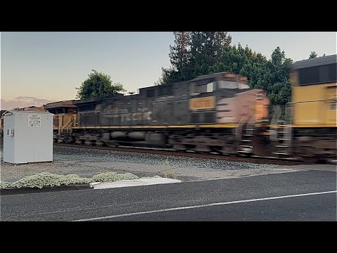 8004424607