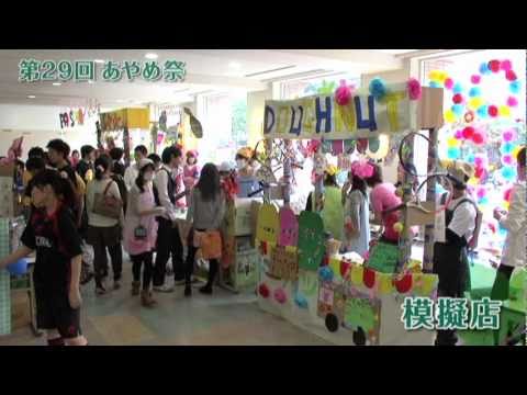 コミュニケーション社会学科 あやめ祭【ふじみ野】