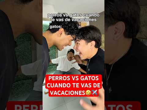 PERROS VS GATOS CUANDO TE VAS DE VACACIONES🤣✈️