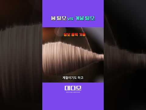 어느 계절이 가장 크리티컬 할까?????