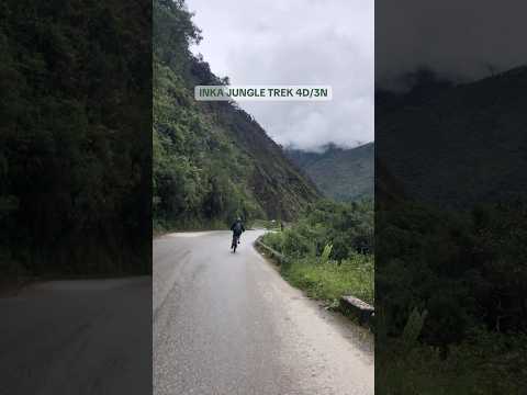 Bosque - Ruta Inka