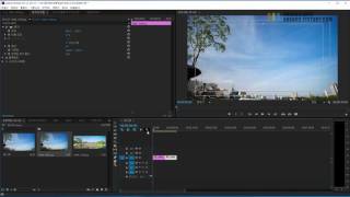 어도비 프리미어 사진 움직이는 효과 주기