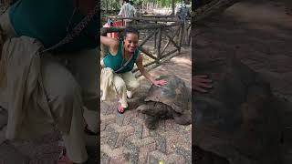 What Makes My Meet Ups Different? | Baldgirlwilltravel