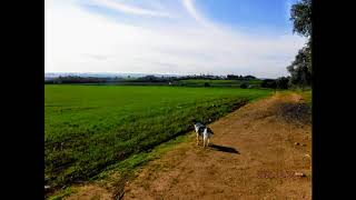 Canteras de Santa Ana de la Albaida. Córdoba, España.