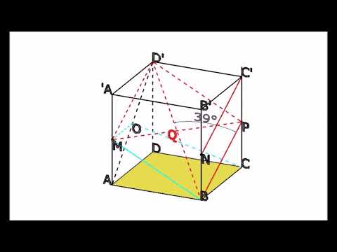 GEOME.RADU - E.N. 2017