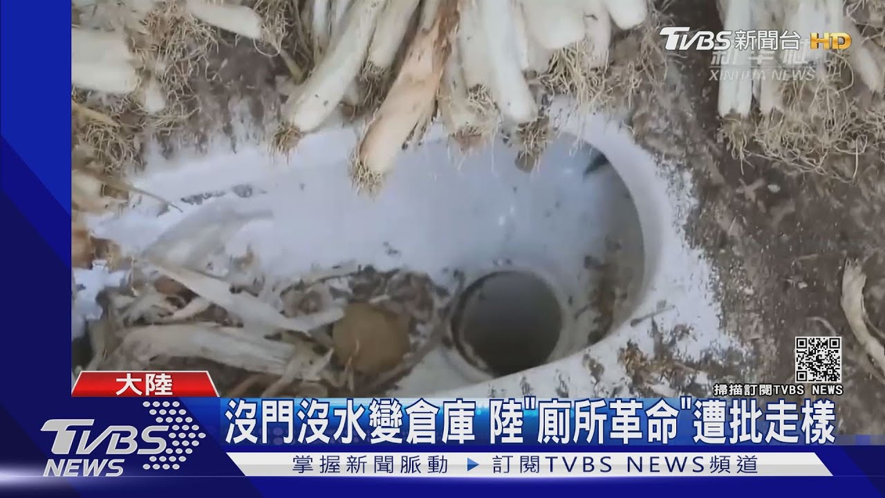 沒門沒水變倉庫 陸「廁所革命」遭批走樣