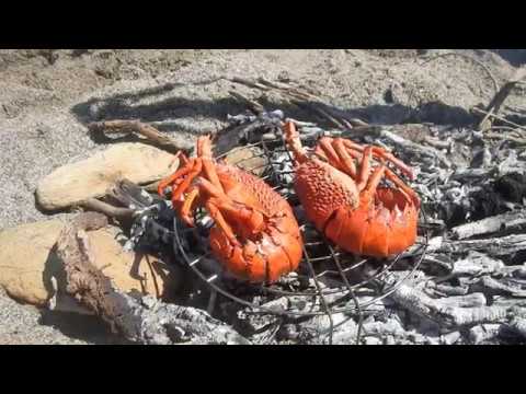 Overnight swag camping in a boat, Batemans Bay Nsw Australia