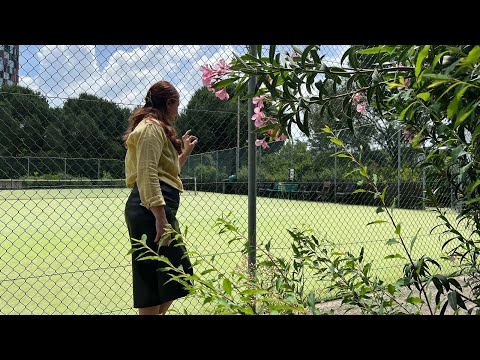 Vitrina e librit/ Treni i fëmijëve- Viola Ardone - 18 Qeshor 2023