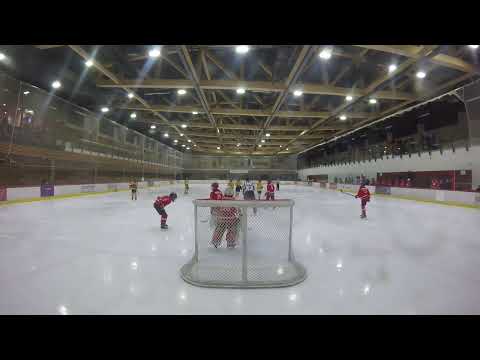 U12-1 HC VIPERS - HC TORNAADO