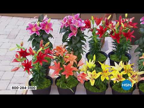 HSN | AT Home 05.07.2021 - 09 AM