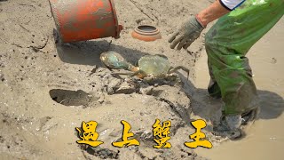 Re: [閒聊] 這波沒跟房市跟股市沒跟上是不是就完