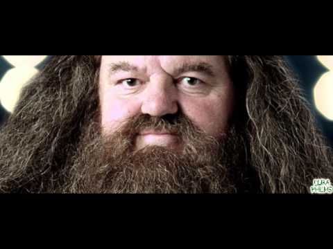 Harry Potter und der Orden des Penners Teil 9