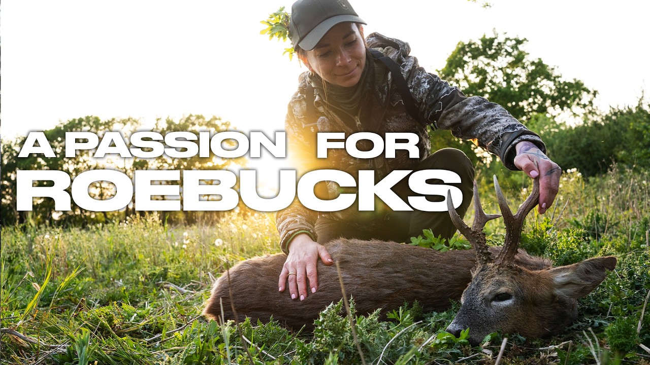 A Passion For Roebucks │ Roebuck Stalking
