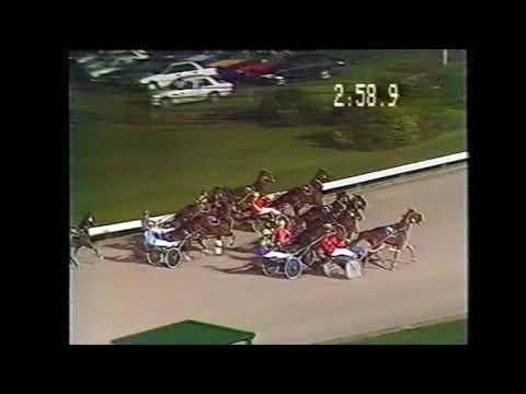 Late Bid - 1995 Australian Derby