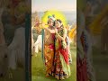 MOR MUKUT GIRIDHARI KRISHNA KRISHNA MOHE KRISHNA KRISHNA SONG STATUS VIDEO Ytshorts Status