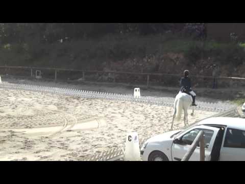 Zagalote-Lambabu.MP4