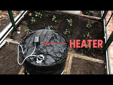 What's the BEST Simple Greenhouse Heater for Winter?