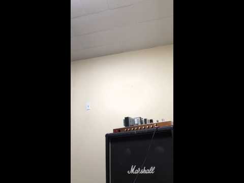 Mojotone British 800 modded into Flex 800 mk2 Chassé Amp