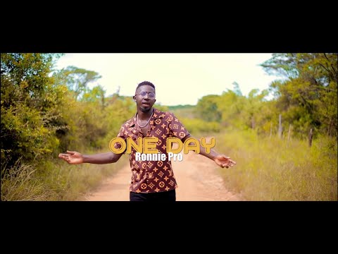 FACT ZAMANI - ONE DAY ft BARON NATS (Official video)